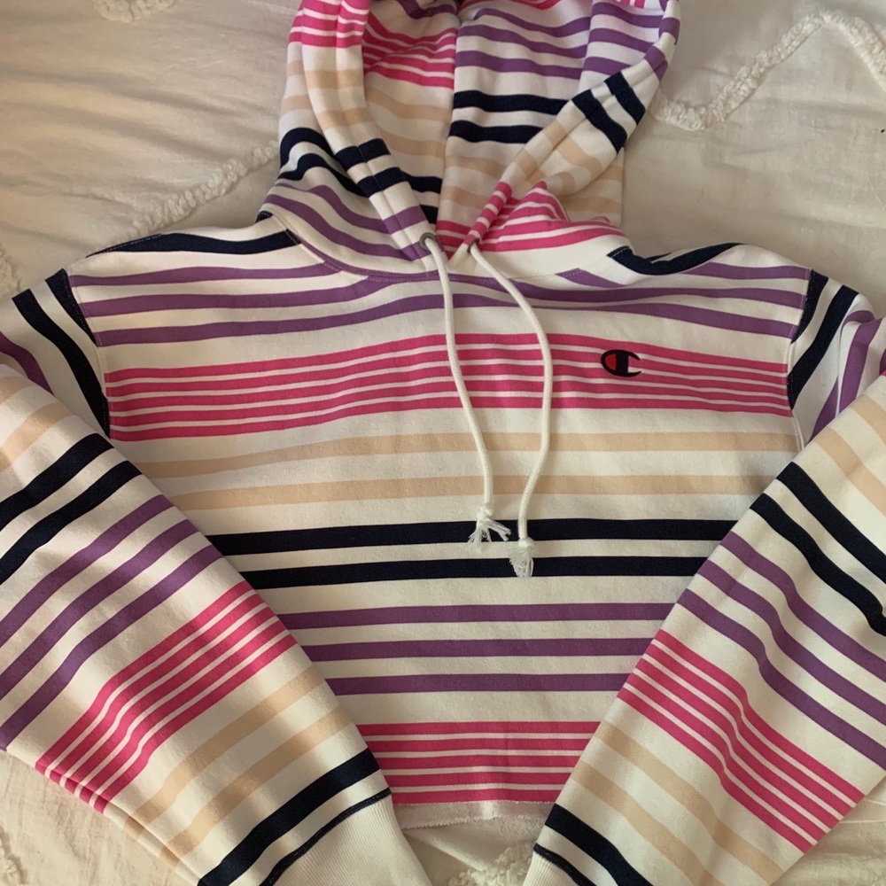 Striped cropped champion sweatshirt